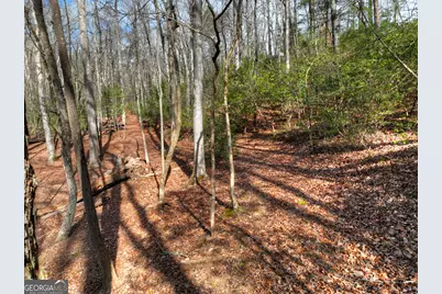 29 Robert Drive, Ellijay, GA 30536 - Photo 52