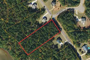 176 Belford Way, Jackson, GA 30233 - Photo 1