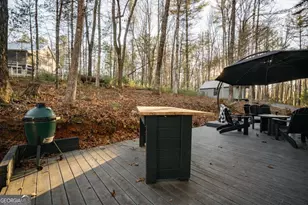 31 Highland Hammock Dr, Blue Ridge, GA 30513 - Photo 60