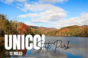 66 Village Ct, Cleveland, GA 30528 - Photo 28