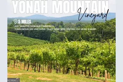 66 Village Court #12, Cleveland, GA 30528 - Photo 30