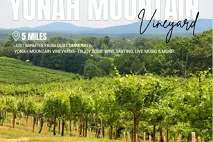 66 Village Ct, Cleveland, GA 30528 - Photo 30