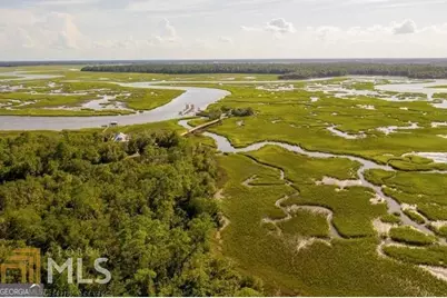 3.09 Acres Marina Isle Drive #LOT 120, Woodbine, GA 31569 - Photo 8