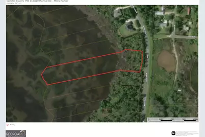 3.09 Acres Marina Isle Drive #LOT 120, Woodbine, GA 31569 - Photo 4