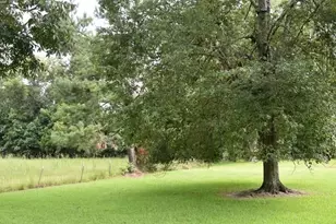 305 S Baker St, Glennville, GA 30427 - Photo 4