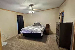 437 Burkhalter Cir, Claxton, GA 30417 - Photo 8