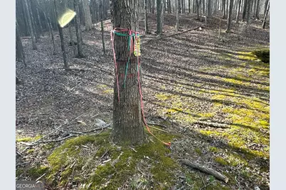 3472 Prior Station Road, Cedartown, GA 30125 - Photo 30