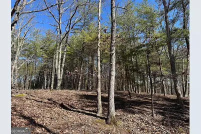 3472 Prior Station Road, Cedartown, GA 30125 - Photo 6