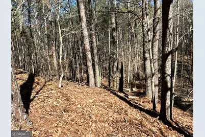 3472 Prior Station Road, Cedartown, GA 30125 - Photo 34