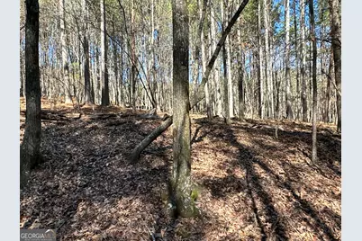 3472 Prior Station Road, Cedartown, GA 30125 - Photo 46