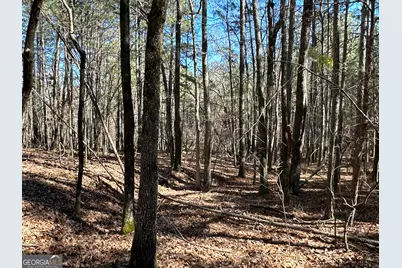 3472 Prior Station Road, Cedartown, GA 30125 - Photo 42