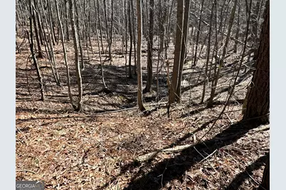 3472 Prior Station Road, Cedartown, GA 30125 - Photo 48