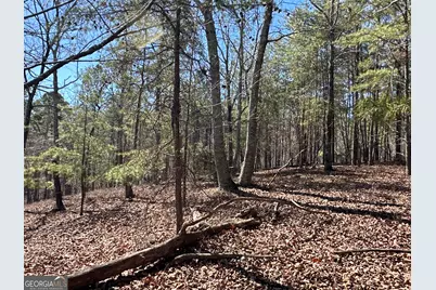 3472 Prior Station Road, Cedartown, GA 30125 - Photo 38