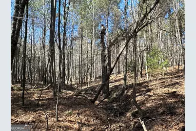 3472 Prior Station Road, Cedartown, GA 30125 - Photo 54