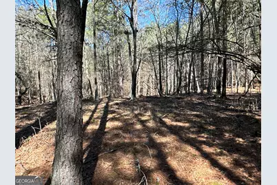 3472 Prior Station Road, Cedartown, GA 30125 - Photo 58