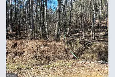 3472 Prior Station Road, Cedartown, GA 30125 - Photo 14