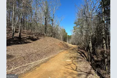 3472 Prior Station Road, Cedartown, GA 30125 - Photo 8