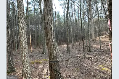 3472 Prior Station Road, Cedartown, GA 30125 - Photo 10