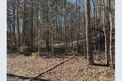 3472 Prior Station Road, Cedartown, GA 30125 - Photo 74