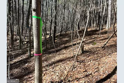 3472 Prior Station Road, Cedartown, GA 30125 - Photo 26