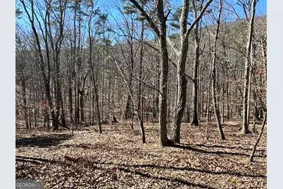 3472 Prior Station Road, Cedartown, GA 30125 - Photo 36