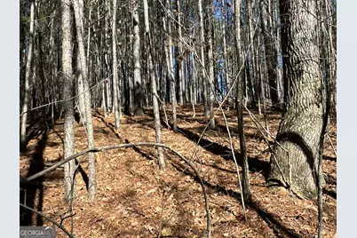 3472 Prior Station Road, Cedartown, GA 30125 - Photo 64