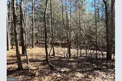 3472 Prior Station Road, Cedartown, GA 30125 - Photo 52