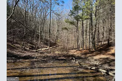 3472 Prior Station Road, Cedartown, GA 30125 - Photo 18