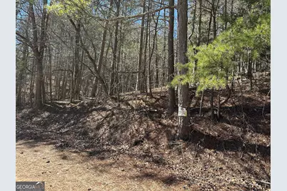 3472 Prior Station Road, Cedartown, GA 30125 - Photo 68