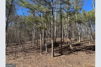 3472 Prior Station Road, Cedartown, GA 30125 - Photo 70