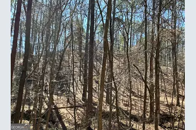 3472 Prior Station Road, Cedartown, GA 30125 - Photo 66