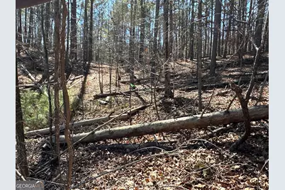 3472 Prior Station Road, Cedartown, GA 30125 - Photo 24