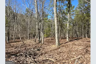 3472 Prior Station Road, Cedartown, GA 30125 - Photo 40