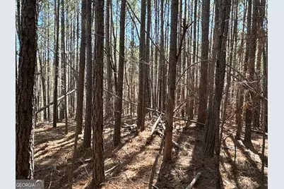 3472 Prior Station Road, Cedartown, GA 30125 - Photo 62