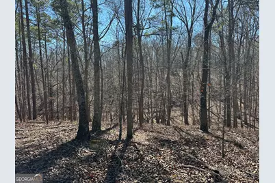 3472 Prior Station Road, Cedartown, GA 30125 - Photo 20