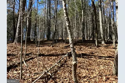 3472 Prior Station Road, Cedartown, GA 30125 - Photo 32