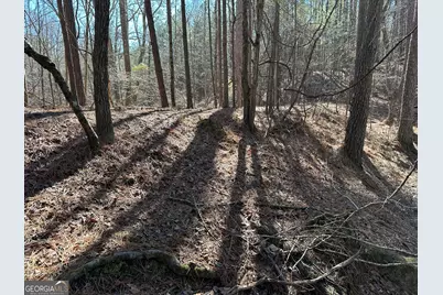 3472 Prior Station Road, Cedartown, GA 30125 - Photo 16