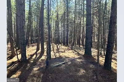 3472 Prior Station Road, Cedartown, GA 30125 - Photo 56