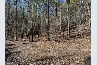 3472 Prior Station Road, Cedartown, GA 30125 - Photo 72