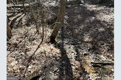 3472 Prior Station Road, Cedartown, GA 30125 - Photo 50