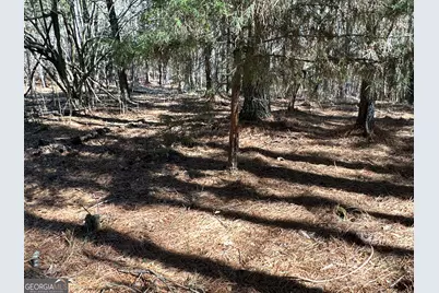 3472 Prior Station Road, Cedartown, GA 30125 - Photo 60