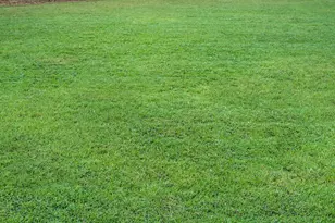 575 McCarty Rd, Sylvester, GA 31791 - Photo 20