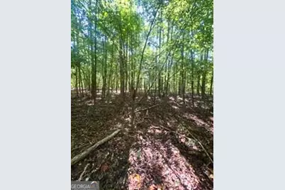 2607 Hughes Road, Bowman, GA 30624 - Photo 4