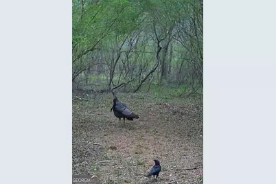 2607 Hughes Road, Bowman, GA 30624 - Photo 10