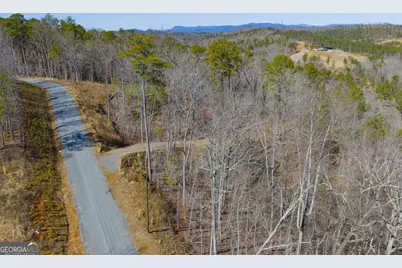 Lot 285 Anglers Ridge Road, Talking Rock, GA 30175 - Photo 18