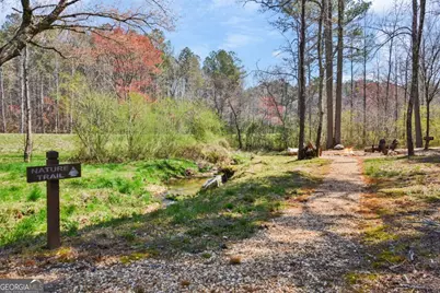 Lot 285 Anglers Ridge Road, Talking Rock, GA 30175 - Photo 28