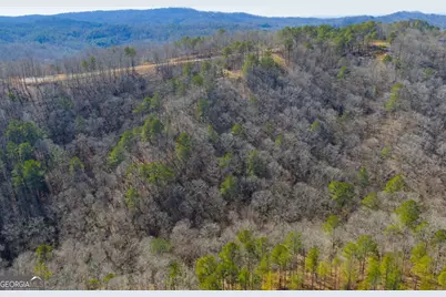 Lot 285 Anglers Ridge Road, Talking Rock, GA 30175 - Photo 16