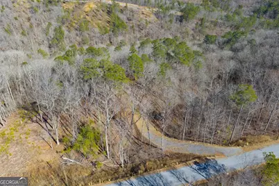Lot 285 Anglers Ridge Road, Talking Rock, GA 30175 - Photo 14
