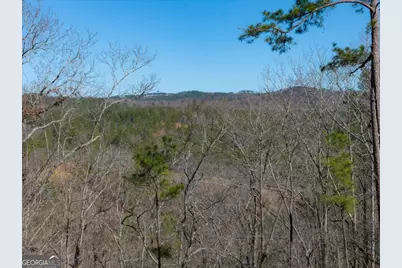 Lot 285 Anglers Ridge Road, Talking Rock, GA 30175 - Photo 8