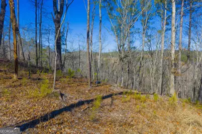Lot 285 Anglers Ridge Road, Talking Rock, GA 30175 - Photo 20